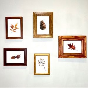Picture Frame Set Seasonal Prints Fall Wall Decor
